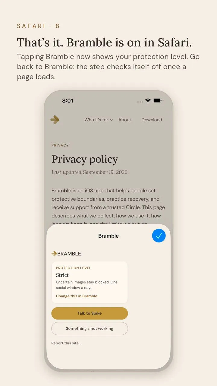 Screen 8 of 9. Safari · 8. That’s it. Bramble is on in Safari. Tapping Bramble now shows your protection level. Go back to Bramble: the step checks itself off once a page loads.