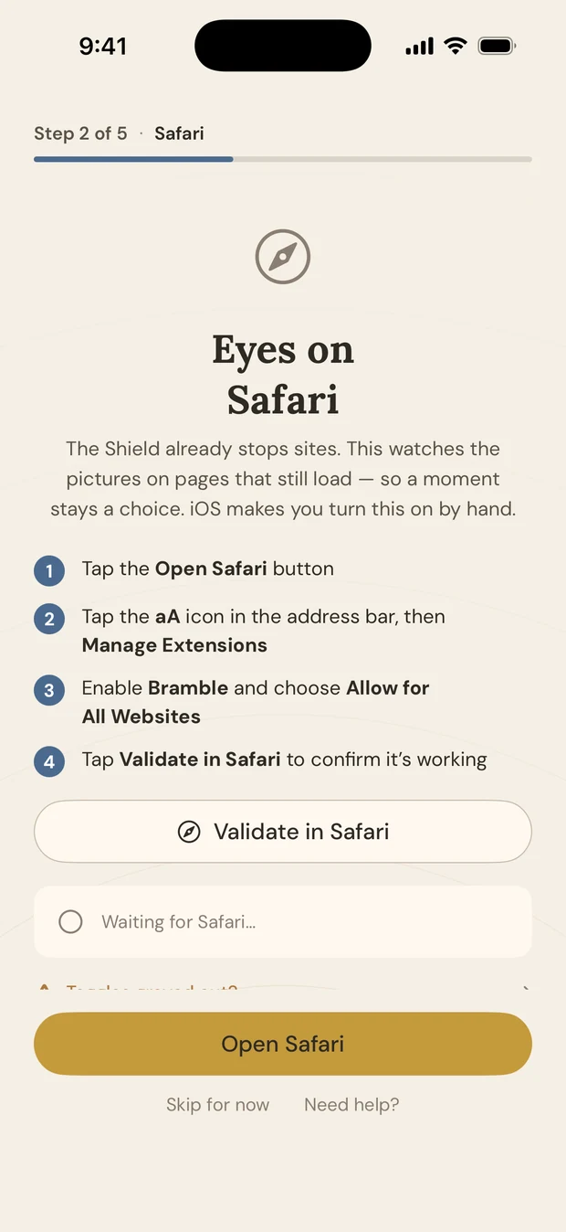 The Safari extension setup screen, titled Eyes on Safari.
